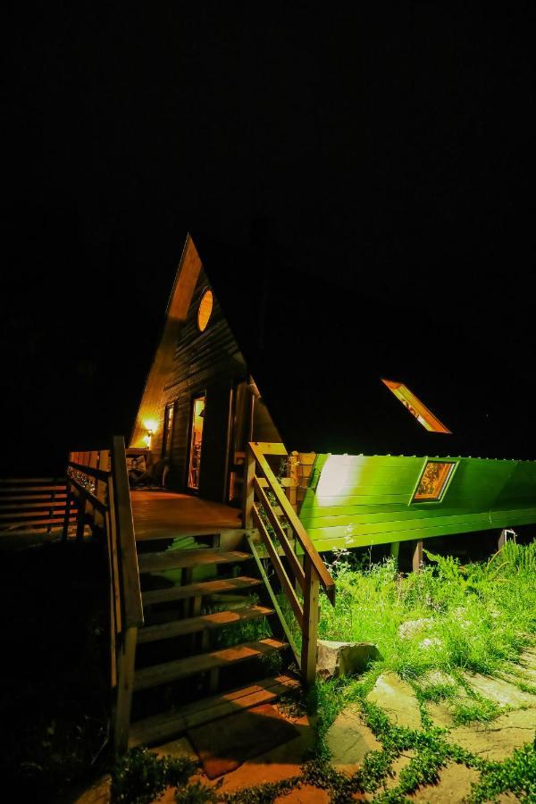 Wooden cottage green house in Bakoerjani Buitenkant foto